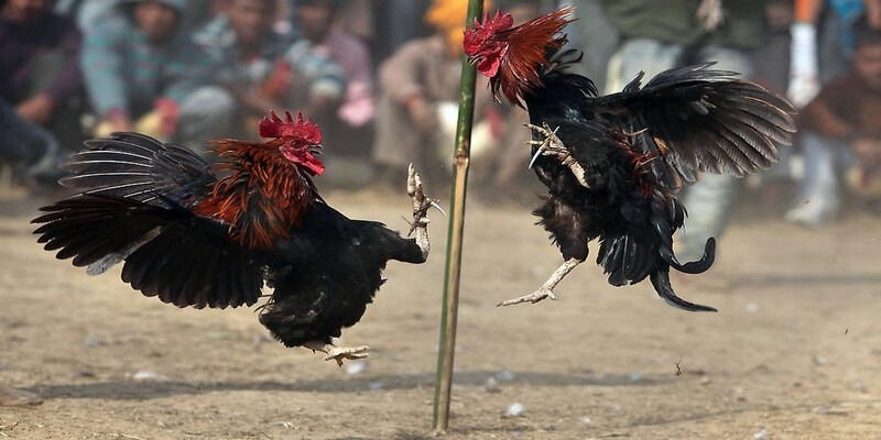 Bộ môn này không chỉ thú vị mà còn rất giải trí đối với người chơi